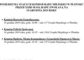 Posiedzenie Stałych Komisji Rady Miejskiej w Płońsku