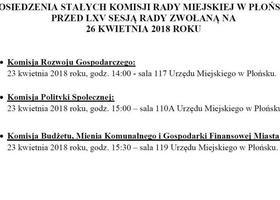 Posiedzenie stałych komisji przed LXV Sesją Rady Miejskiej