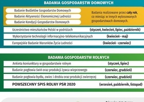 Statystyczne badania ankietowe 2020