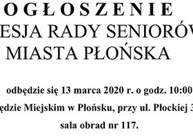 V sesja Rady Seniorów Miasta Płońska 