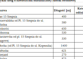 Odśnieżanie w mieście